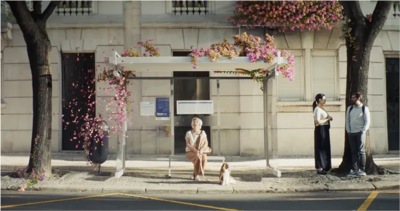 BANQUE POPULAIRE - FLOWERS