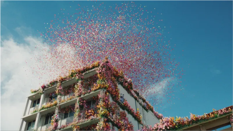 BANQUE POPULAIRE - FLOWERS