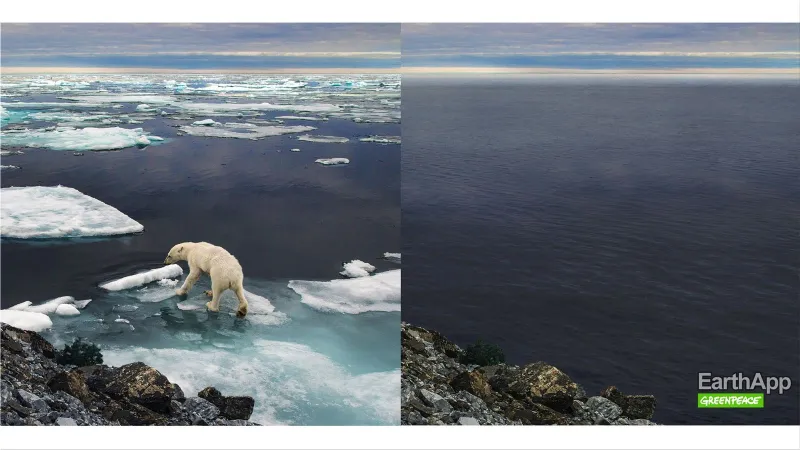 Greenpeace "EarthApp"