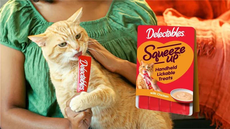 Deliciously De-Lick-able Delectables