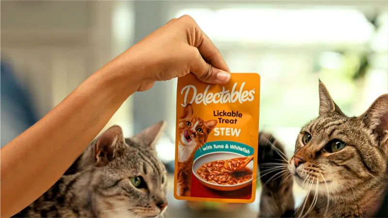 Deliciously De-Lick-able Delectables