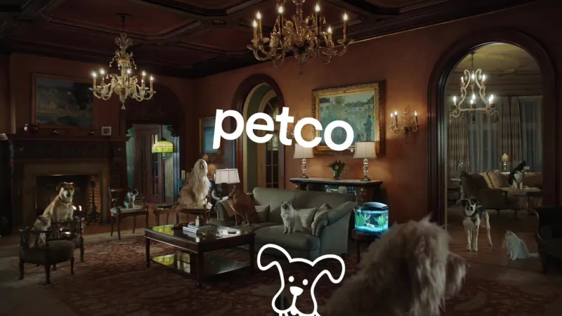 Petco ads