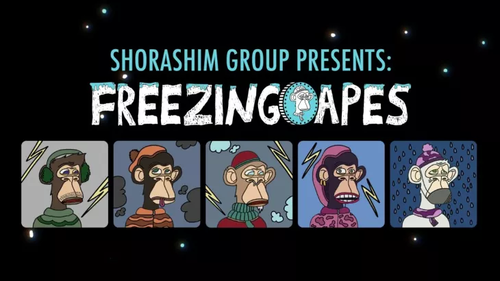 Leo Burnett and Shorashim present: "Freezing Apes"