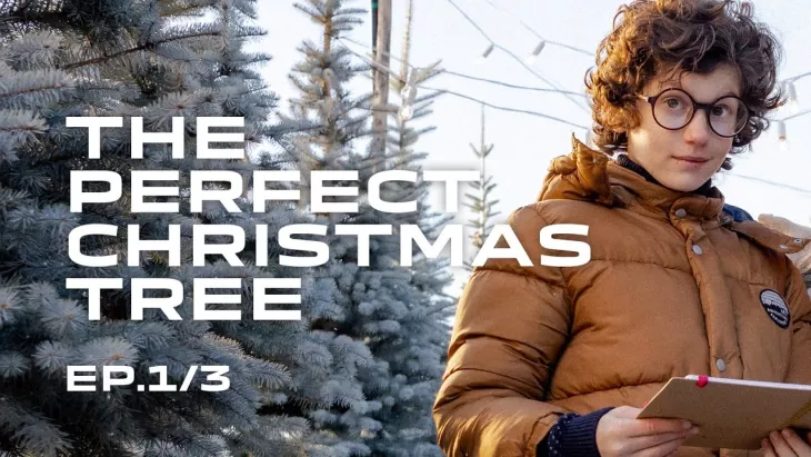 Dacia "The Perfect Christmas Tree"