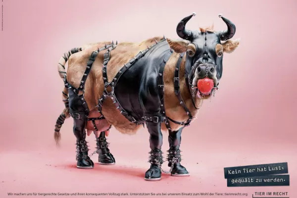 3D Animals 3D Animals
