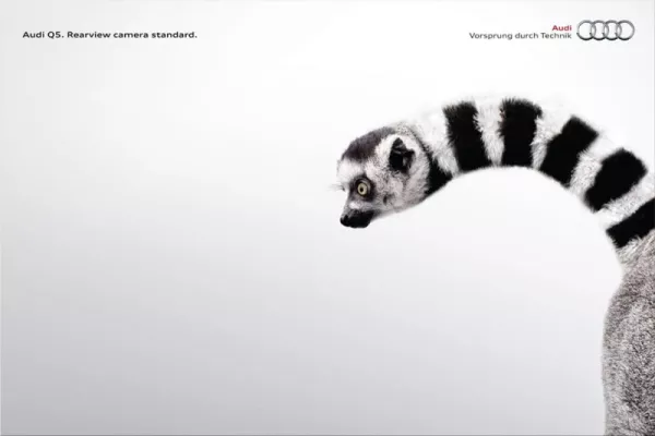 Audi Q5 print ads