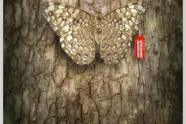 Avon "It is impossible not to notice" by Royal Kusto