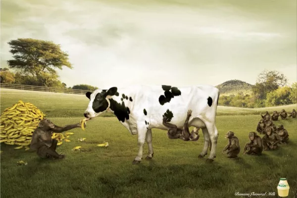 Banana ads
