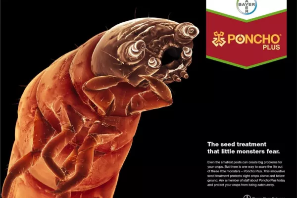 Bayer print ads