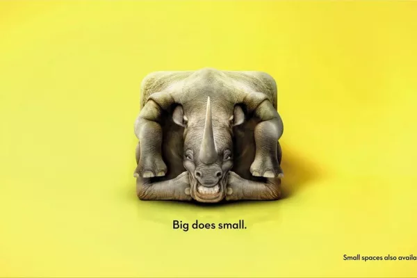 Big Yellow