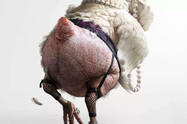 Bishopp: Made you look, Dirty Chook