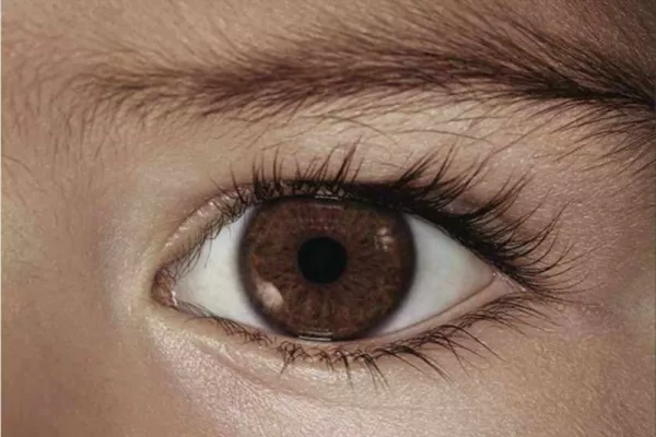 Childhood Eye Cancer Trust