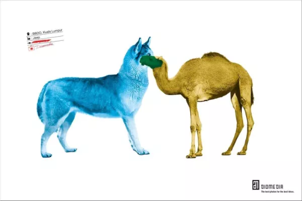 Diomedia ads