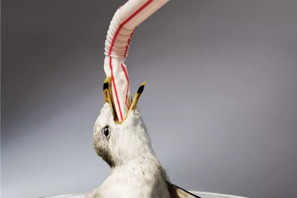 Don't suck the life from our oceans
