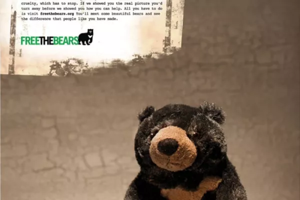 Free The Bears ads