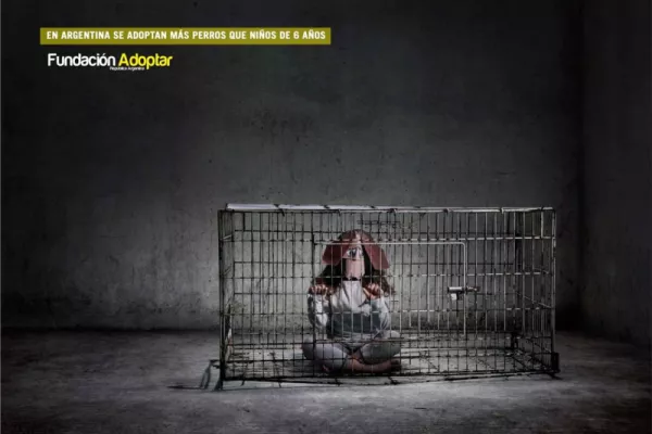 Fundación Adoptar