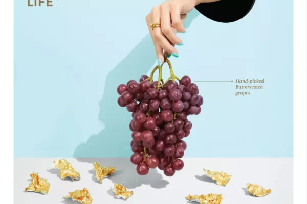 GrapeCo
