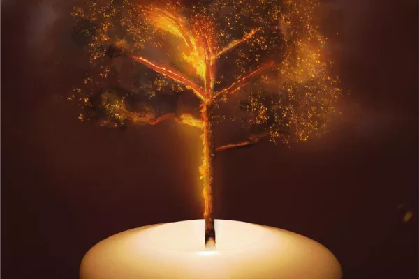 Greenpeace "#ActForAmazonia because prayers aren't enough"