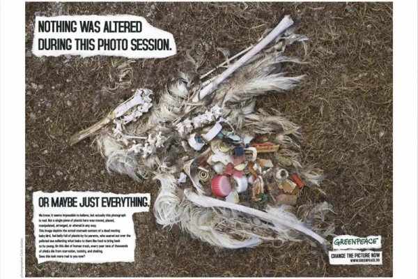 Greenpeace ads