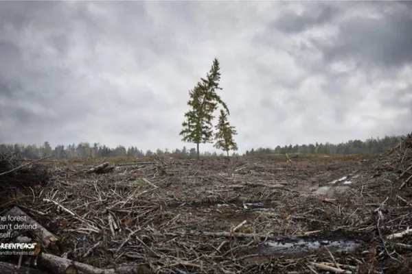 Greenpeace