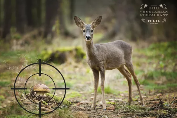 Hiltl "enjoyment food never comes at the expense of animals"