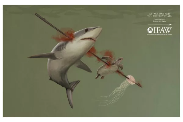 IFAW