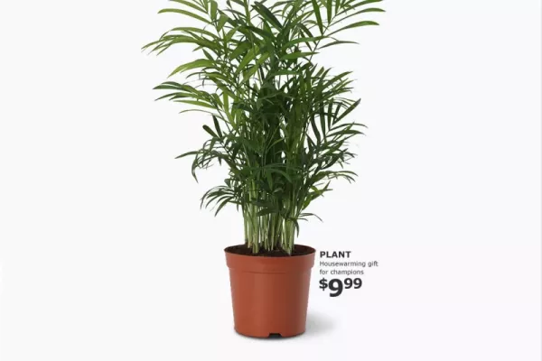 IKEA "gift for champions"