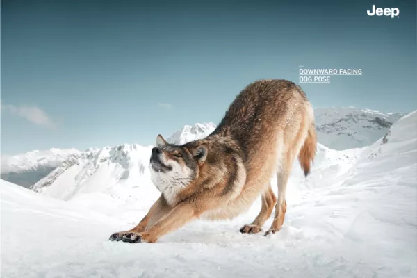 Jeep "Yoga Animals"