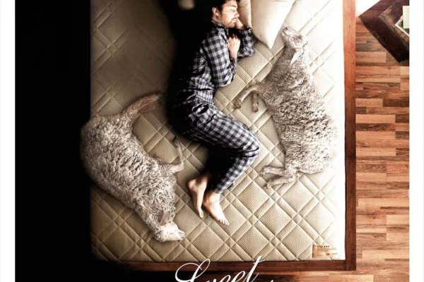LONAS SHEEP POSTER