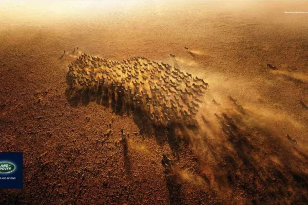 Land Rover print ads
