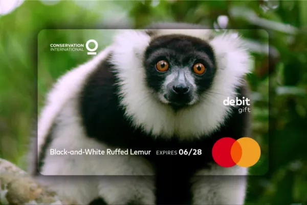 MasterCard "Expiration date" by McCann