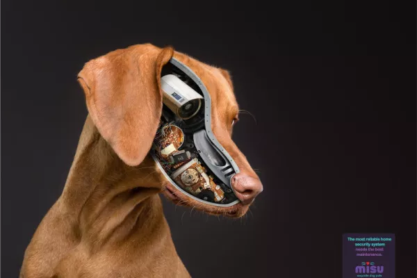 Misu "The most reliable home security system needs the best maintenance"
