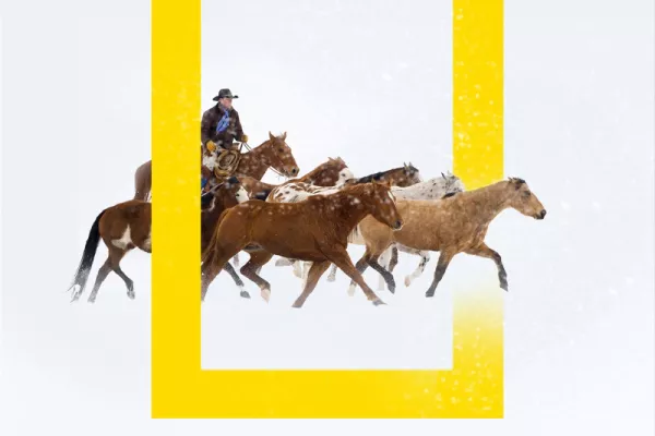 National Geographic HD Channel
