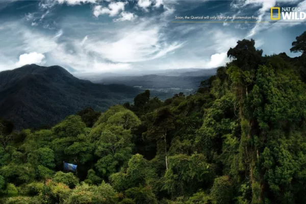 National Geographic print ads