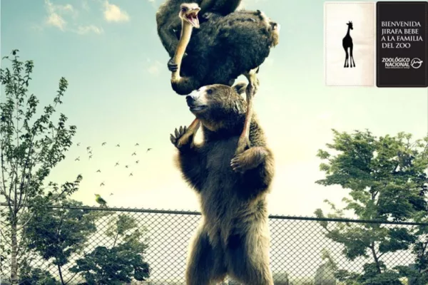 National Zoo ads