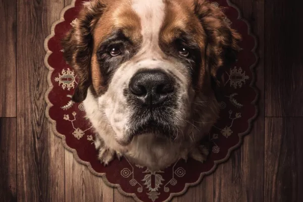 PETA: Adopt a companion