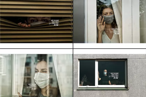 PETA print advertisement