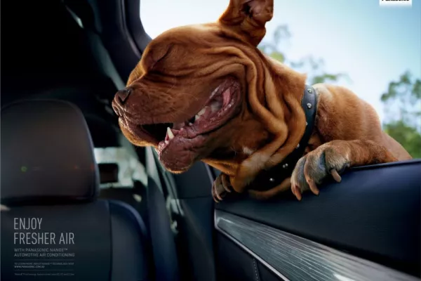 Panasonic Nanoe Automotive Air Conditioning