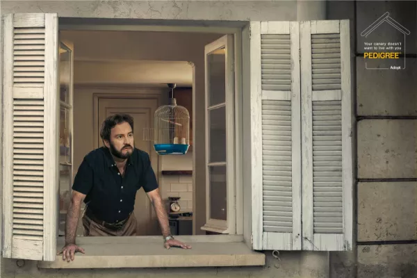 Pedigree "Your canary doesn't want to live with you"