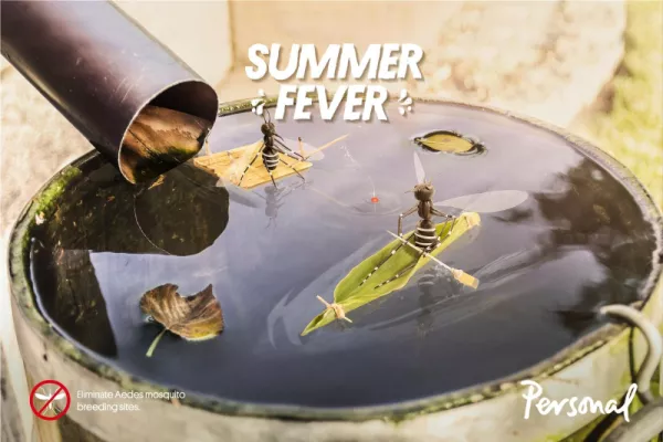 Personal "Eliminate Aedes mosquito breeding sites"