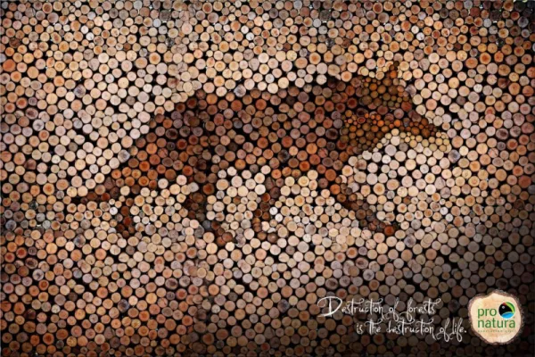 Pro-Natura print ad
