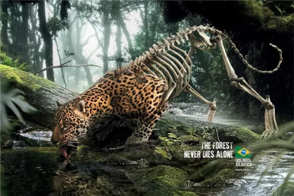 SOS Mata Atlântica: "The forest never dies alone." by DPZ&T