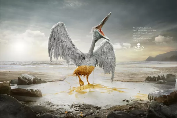 Sea Shepherd "The White Tide" Sea Shepherd "The White Tide"