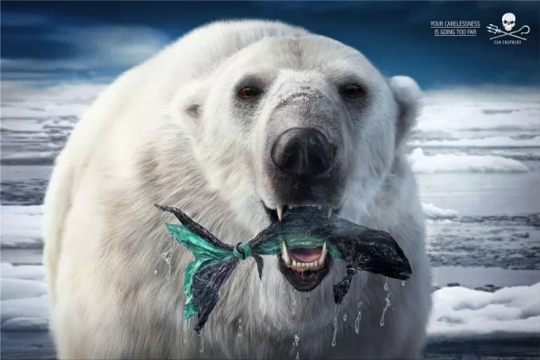Sea Shepherd "Your carelessness is going too far"
