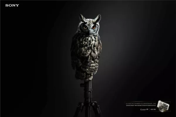 Sony ads