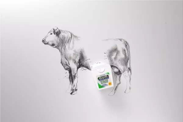 Sunstar "healthy gums. healthy life"