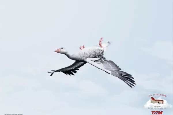 TAM Airlines ads