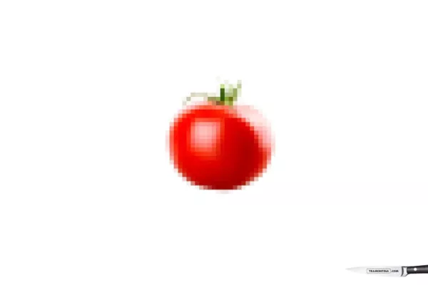 Tramontina.com: Tomato Fish Cheese