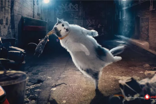 Vodafone "Streets are not for him. Vodafone V-Pet"