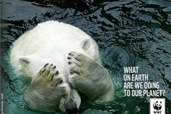 WWF ads